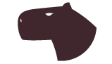 Rebel Capybara