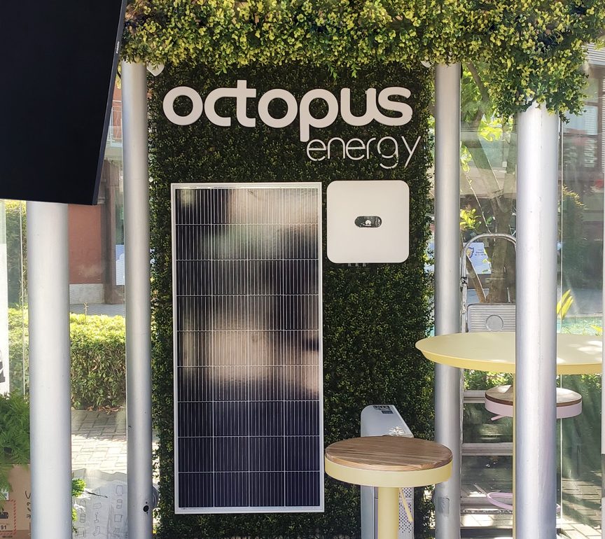 Imagen de panel solar sobre vegetación en puesto de información de Octopus Energy.Por Rebel Capybara Studio.